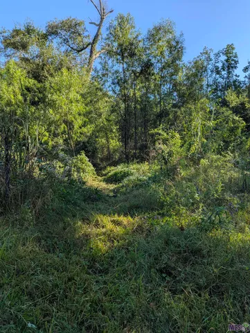 $150,000 | 23154 Joe May Road, Denham Springs, LA 70726