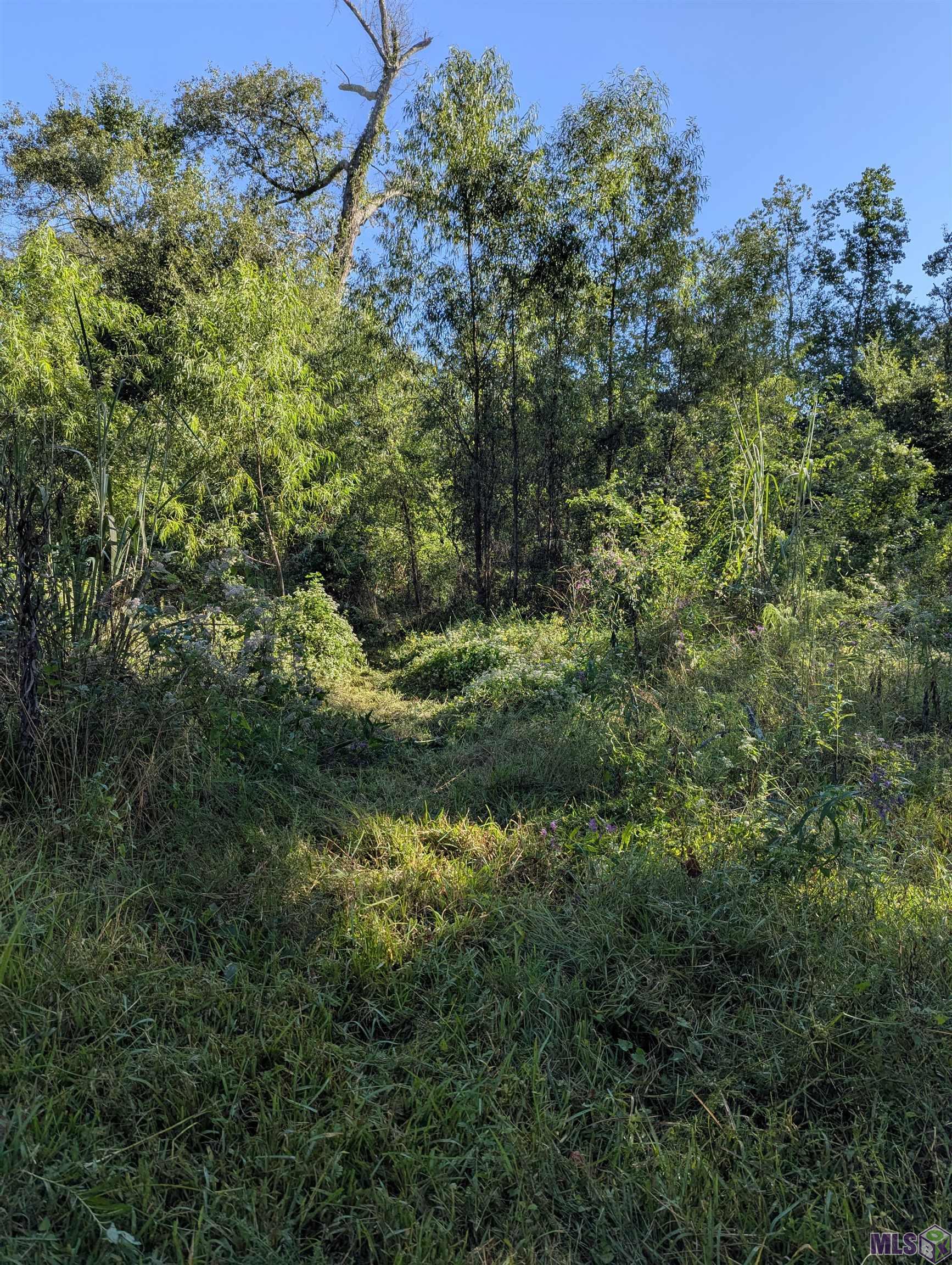 23154 Joe May Road Denham Springs, LA 70726 - Photo 3 of 19