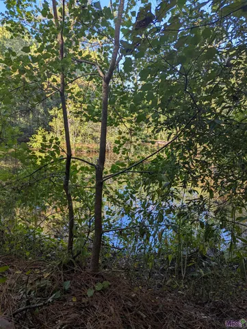 $150,000 | 23154 Joe May Road, Denham Springs, LA 70726