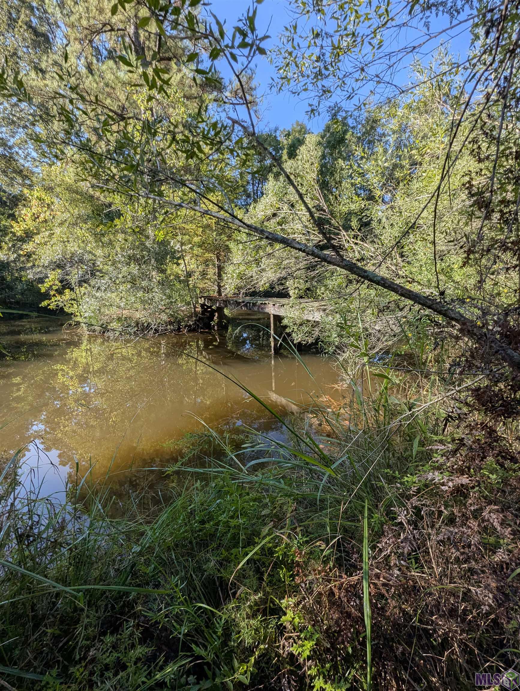 23154 Joe May Road Denham Springs, LA 70726 - Photo 7 of 19