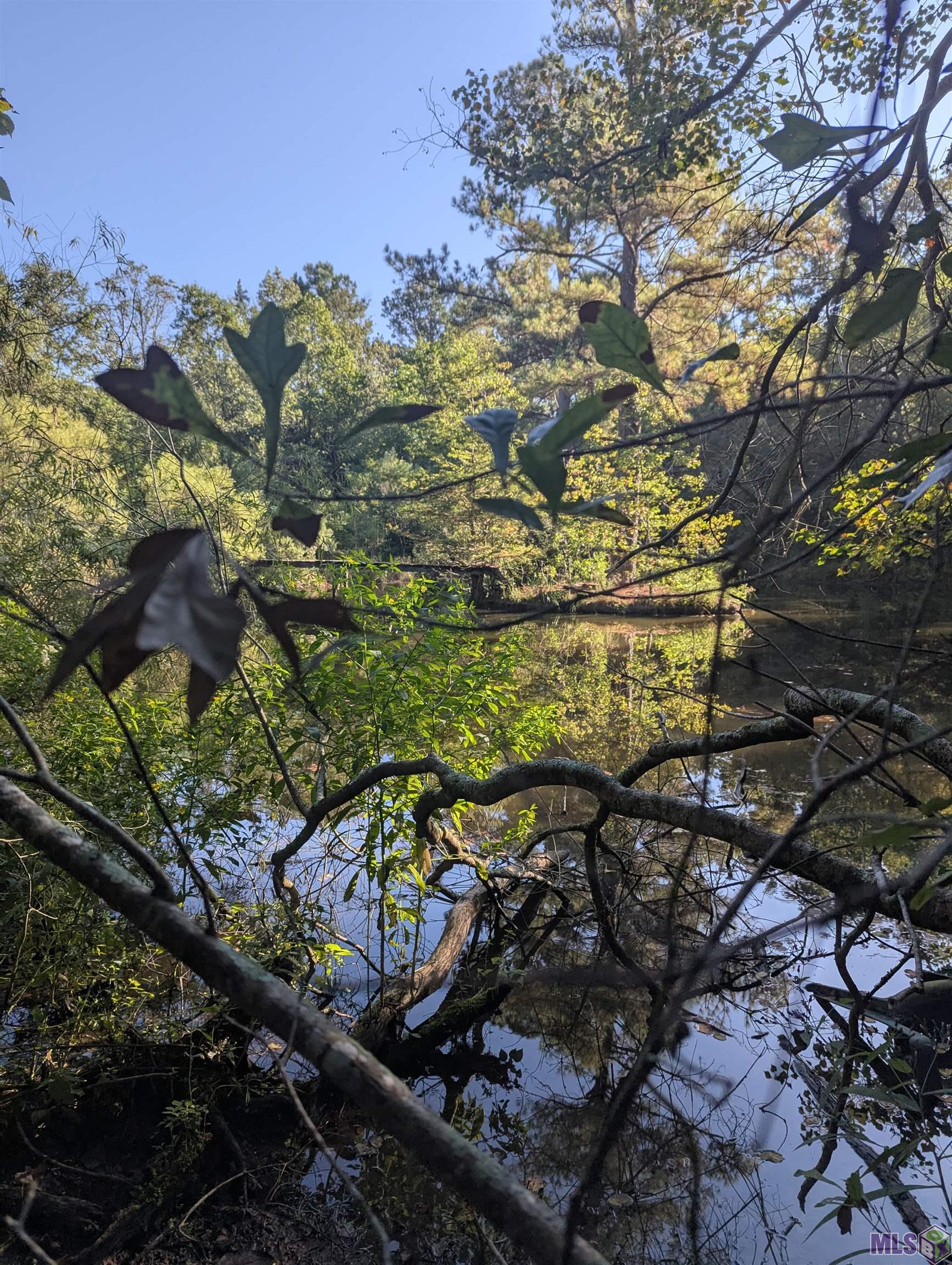 23154 Joe May Road Denham Springs, LA 70726 - Photo 9 of 19