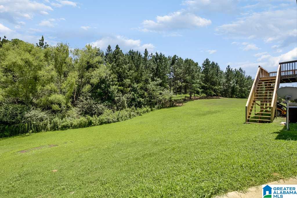 790 Ridgefield Way Odenville, AL 35120 - Photo 4 of 22