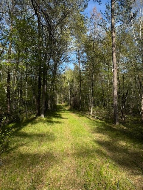 3 County Road 3 Merrifield, MN 56465 - Photo 13 of 36
