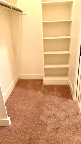 a view of closet area with empty racks