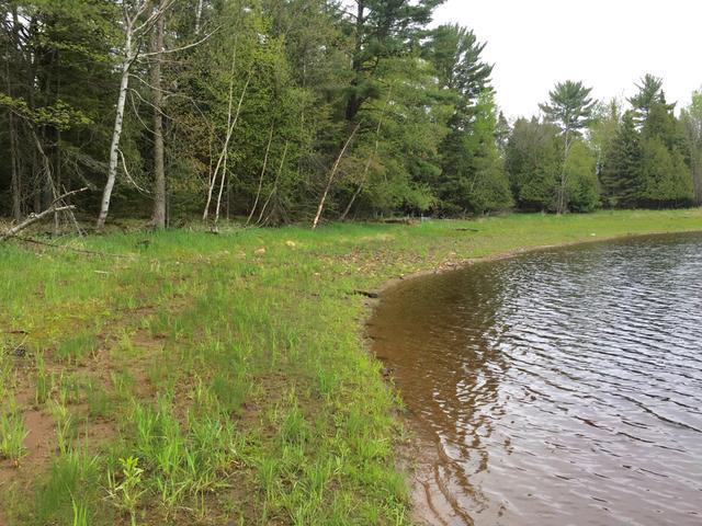 Lot 2 Valley Road Tomahawk, WI 54487 - Photo 3 of 12 Gallery Image 3