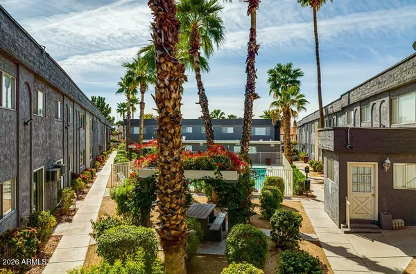 a view of a potted flower in the corridor