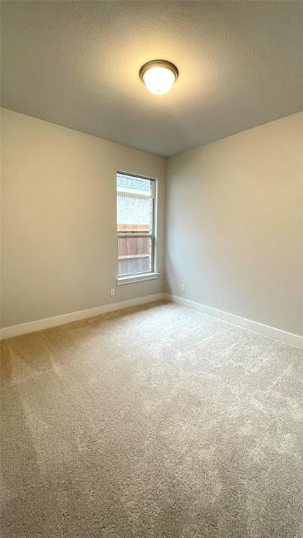 1816 Arbor Drive Forney, TX 75126 - Photo 17 of 23