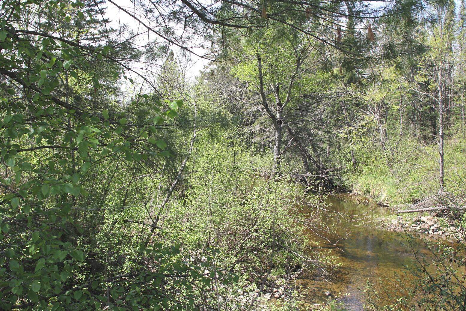 0 Fall Brook Bingham, ME 04920 - Photo 2 of 7 23025Hb1010_2