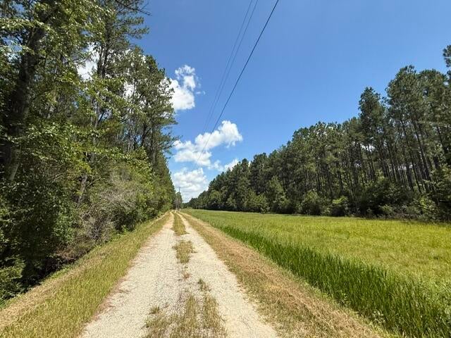 0 Elmer Hamilton Road Moss Point, MS 39562 - Photo 12 of 22 Gallery Image 12