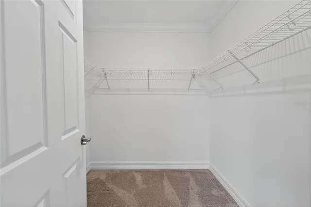 a white toilet sitting next to a shower