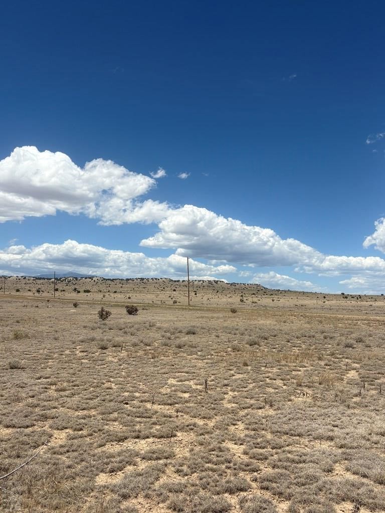222-224 Turkey Ridge Ranch Walsenburg, CO 81089 - Photo 6 of 13