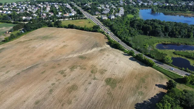 a view of a yard with potted plants