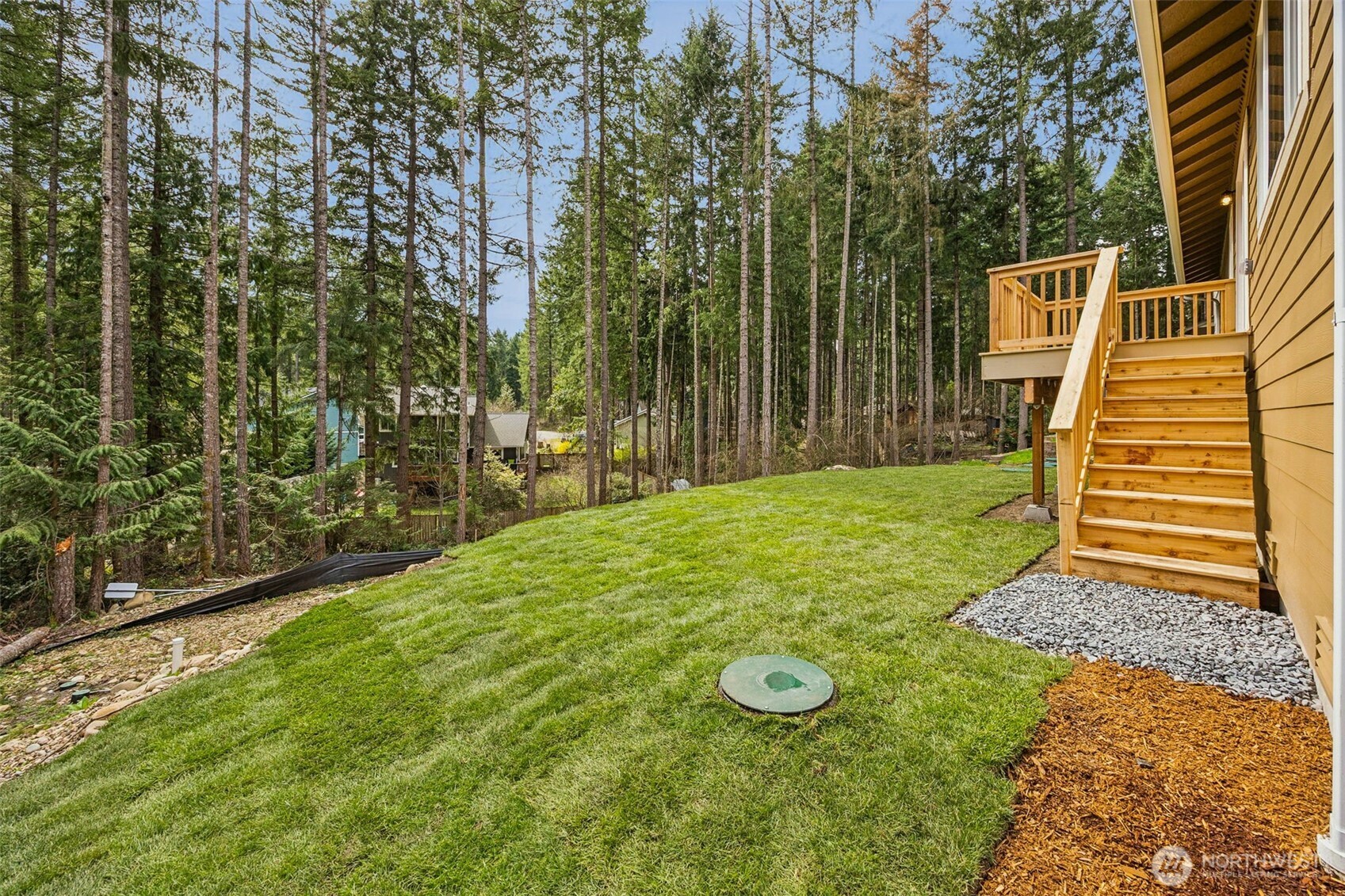 18410 Rampart Drive Southeast Yelm, WA 98597 - Photo 21 of 30 a view of a backyard with large trees