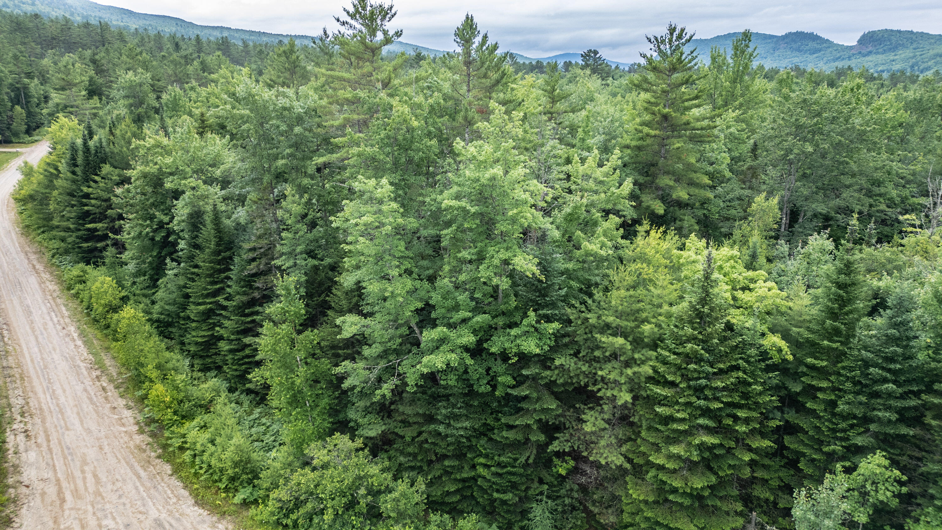Lot 17 Countryside Lane Bethel, ME 04217 - Photo 6 of 29 20250710gp-65003