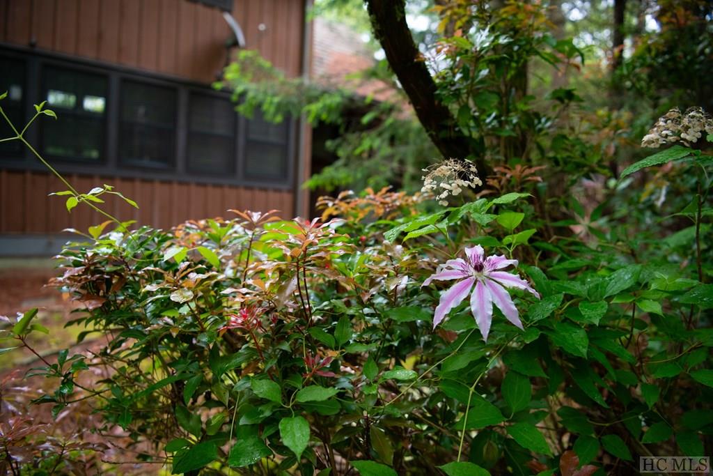 35 Hemlock Ridge Highlands, NC 28741 - Photo 45 of 48 Gallery Image 45