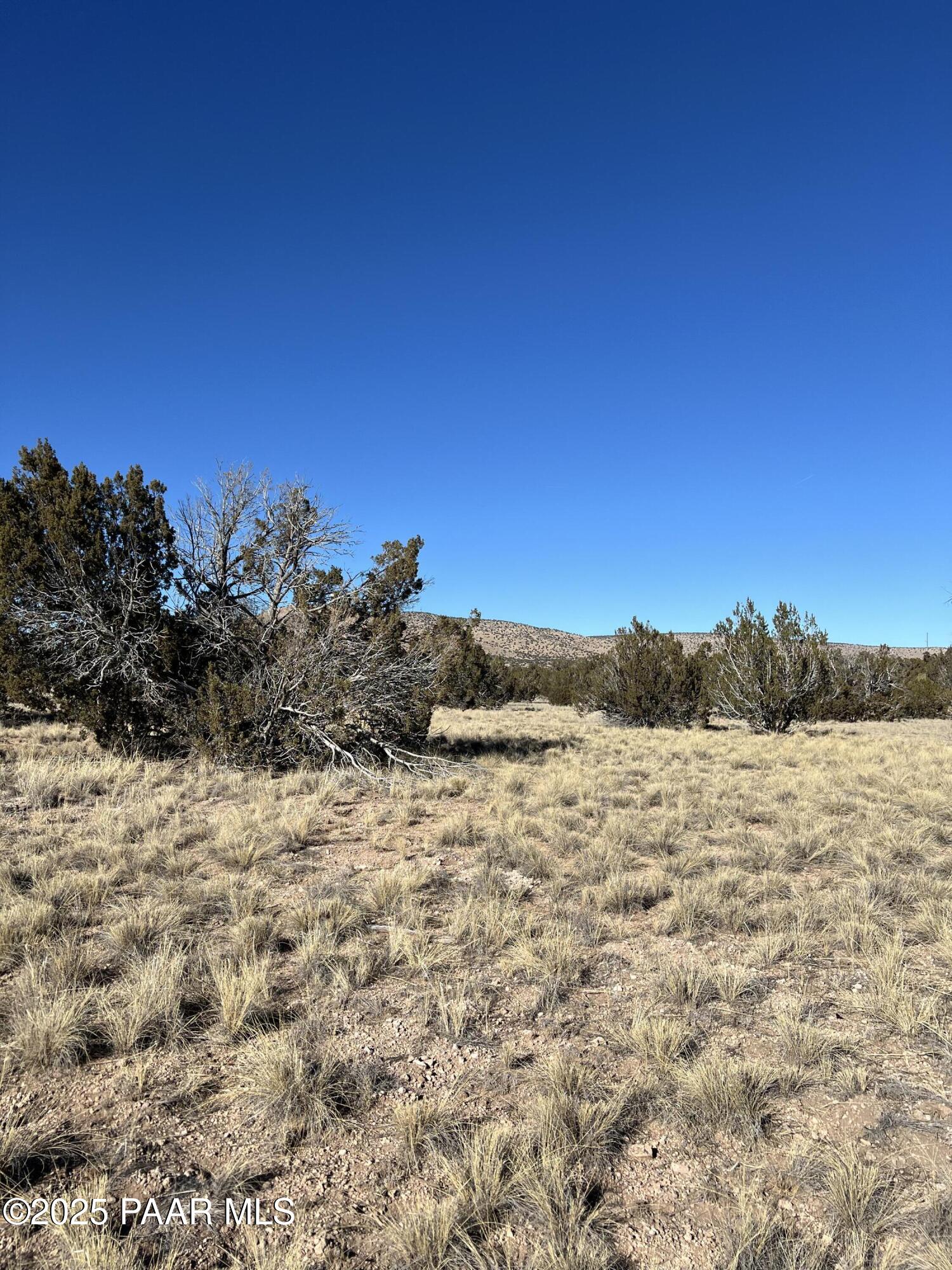 26300 Hwy Road Seligman, AZ 86337 - Photo 2 of 4 a view of lake view and mountain