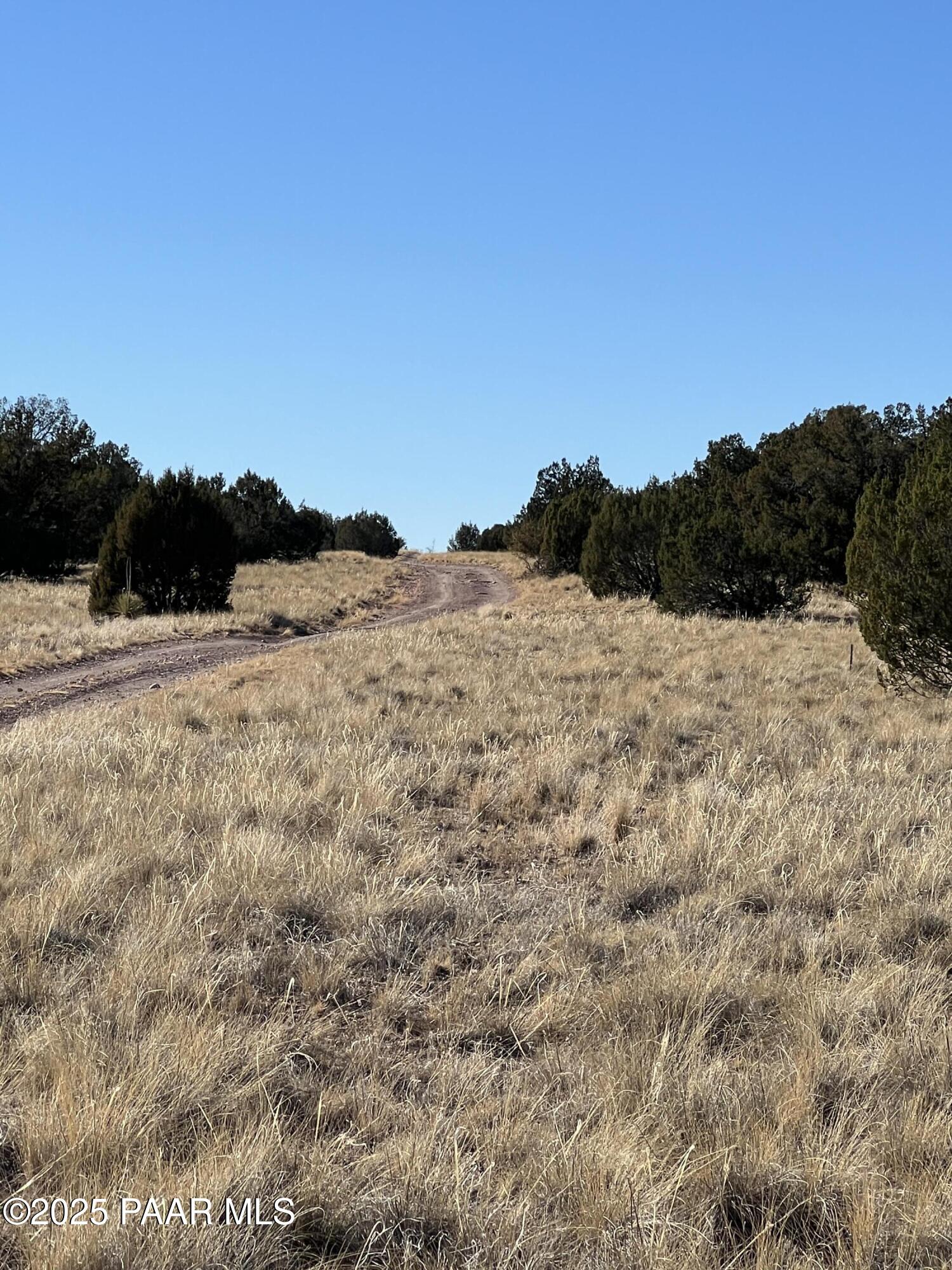 26300 Hwy Road Seligman, AZ 86337 - Photo 4 of 4