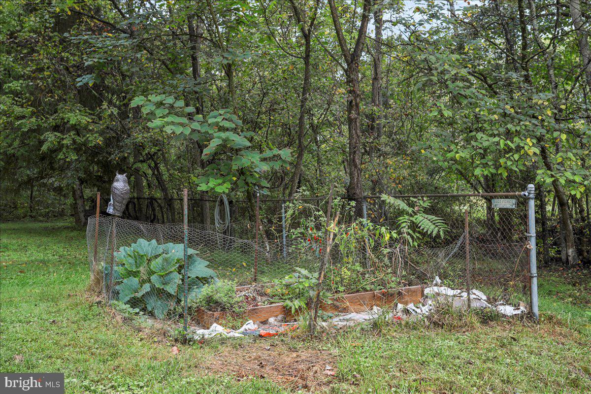 1485 Compton Hollow Road Rileyville, VA 22650 - Photo 21 of 28