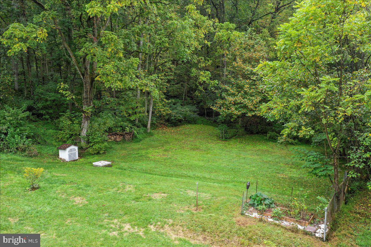 1485 Compton Hollow Road Rileyville, VA 22650 - Photo 24 of 28