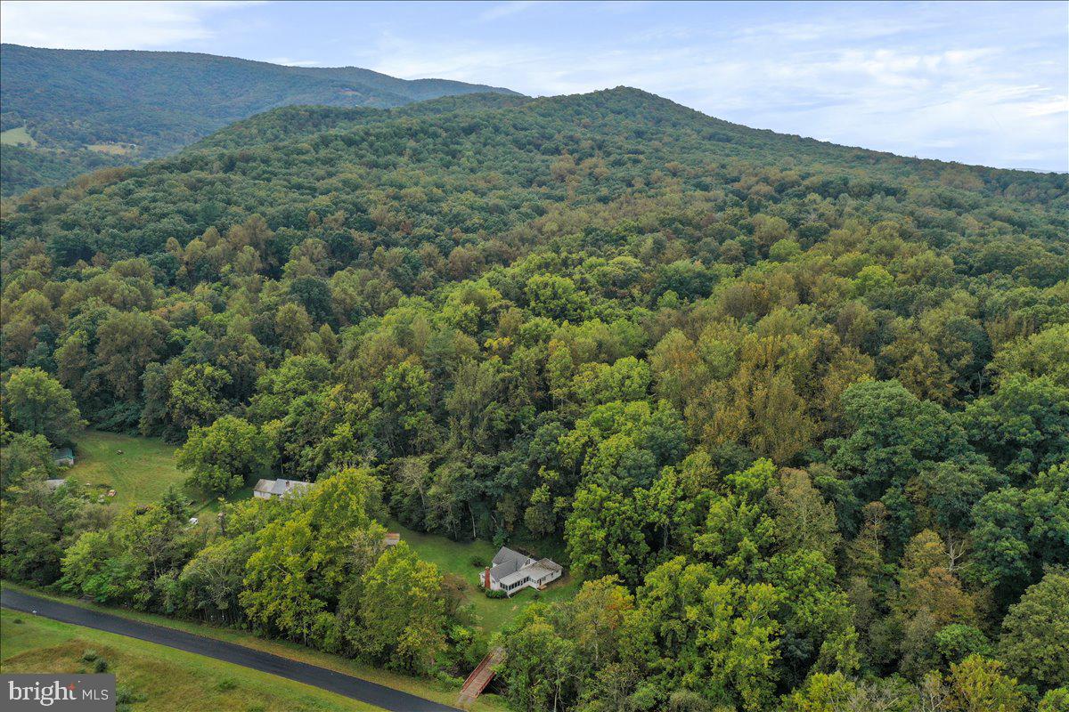 1485 Compton Hollow Road Rileyville, VA 22650 - Photo 28 of 28