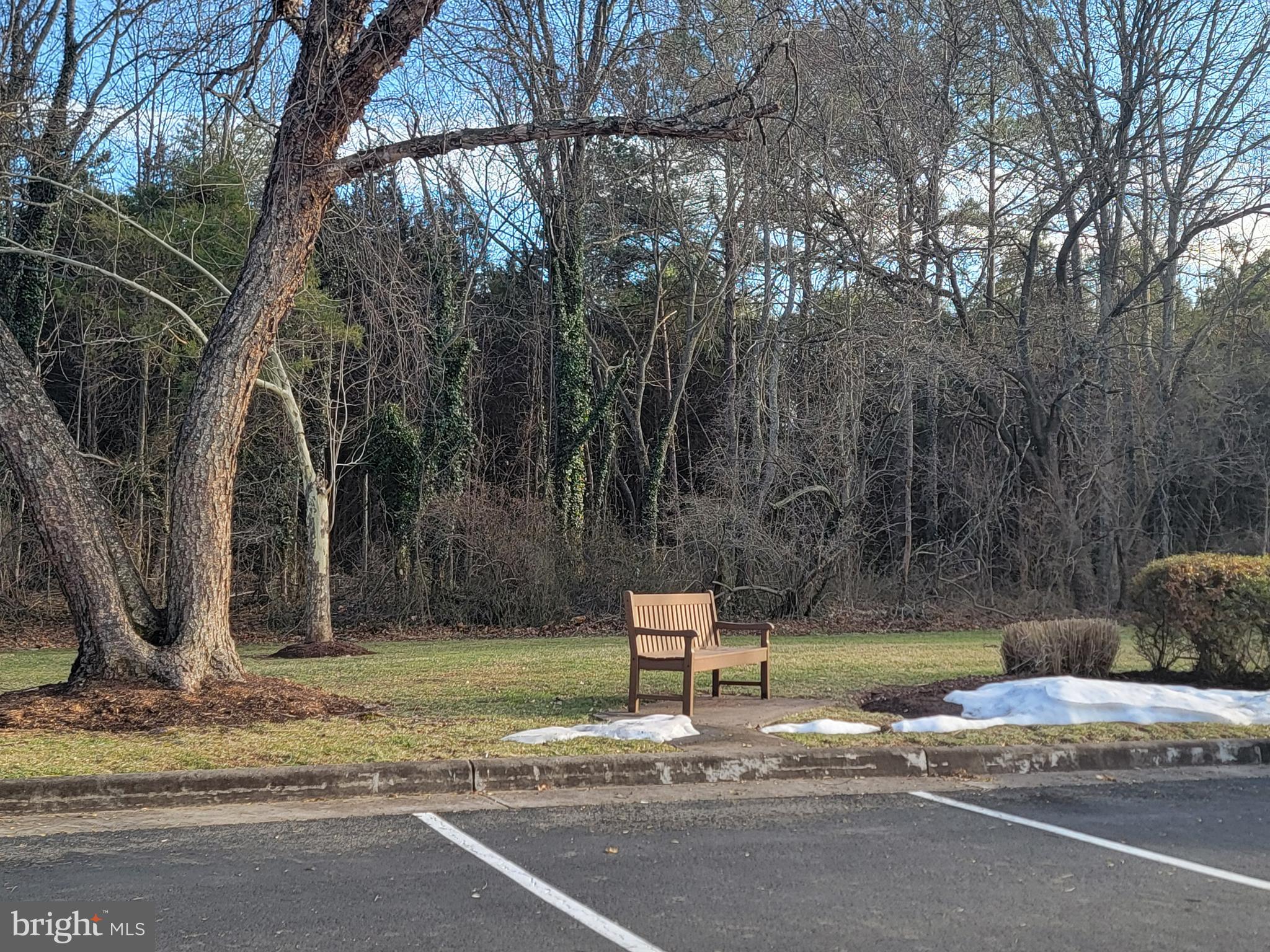 9210 Caspian Way, Unit 302 Manassas, VA 20110 - Photo 29 of 40 a backyard of a house with barbeque oven and trees