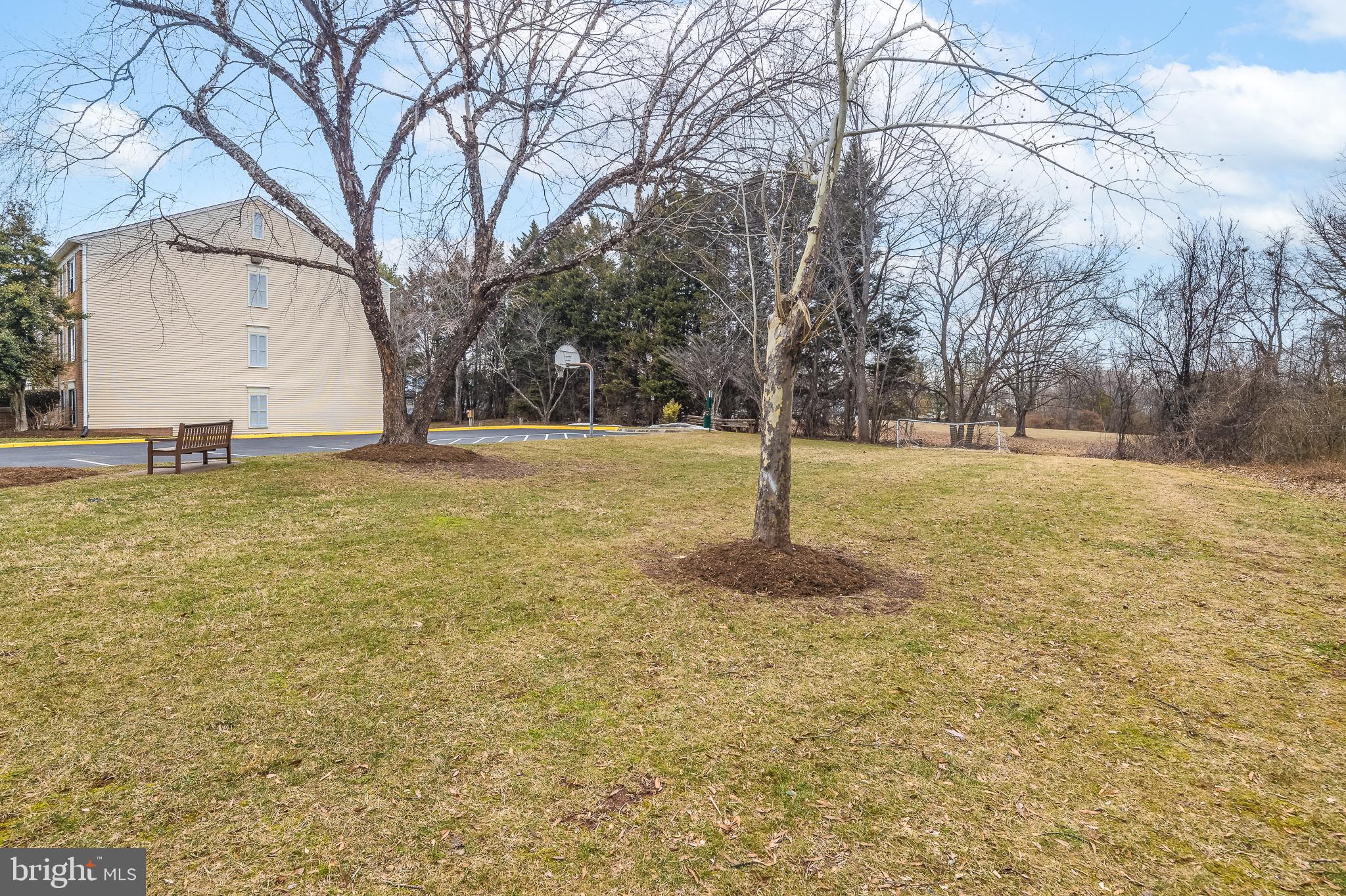 9210 Caspian Way, Unit 302 Manassas, VA 20110 - Photo 32 of 40 a view of a yard with a tree