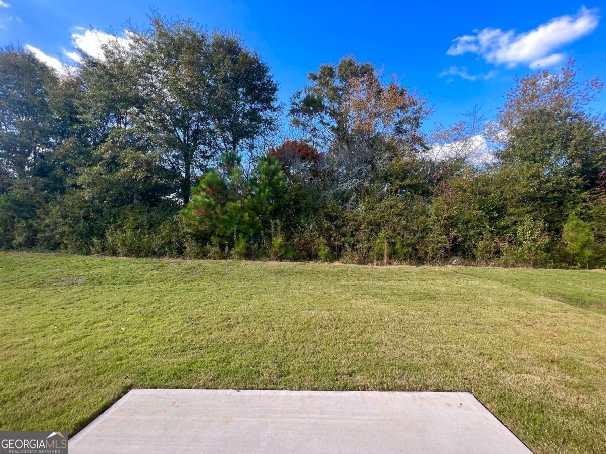 1529 Haypatch Lane Loganville, GA 30052 - Photo 23 of 24 a view of an ocean view