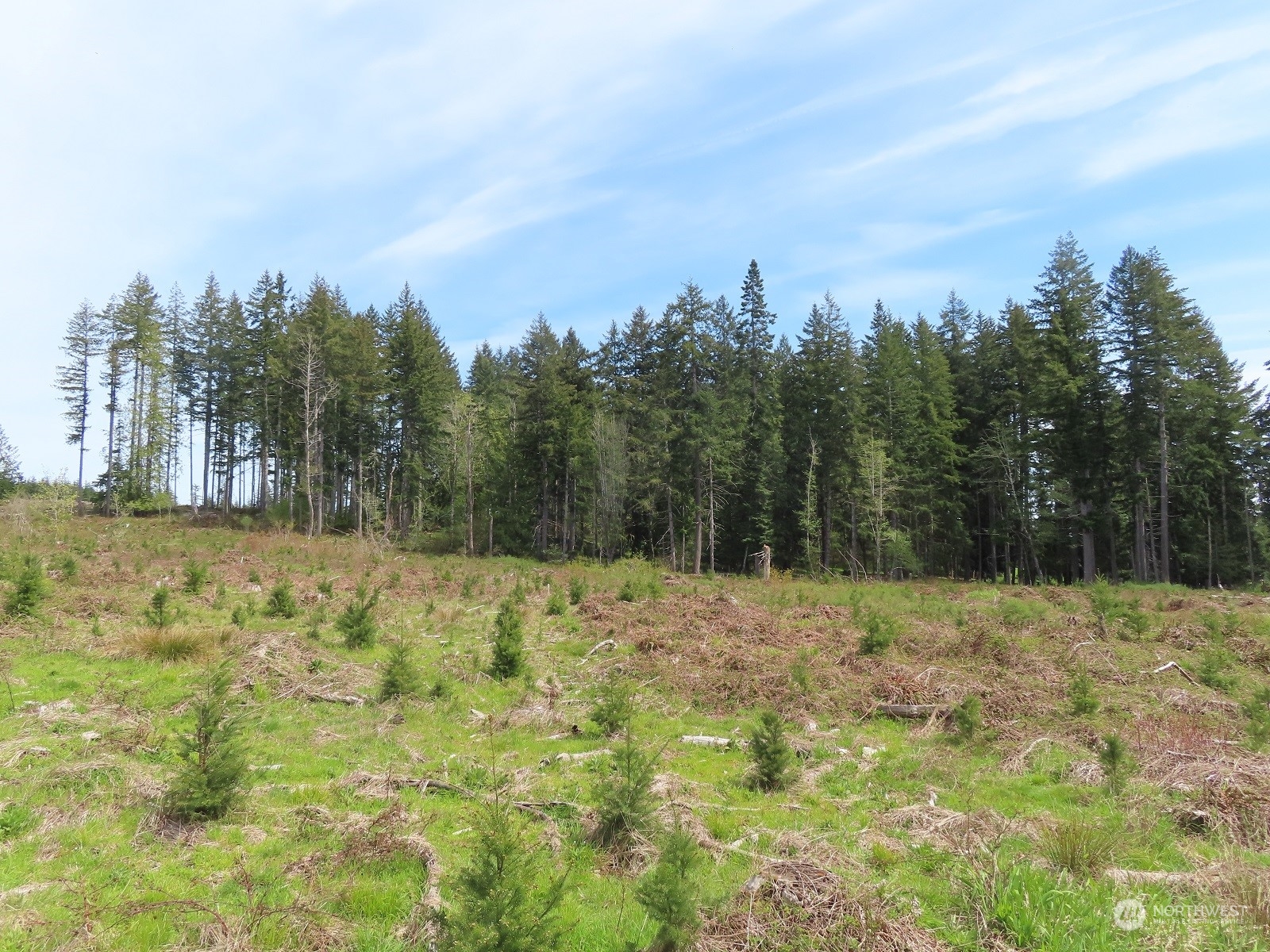 234 Herman Lewis Road Rochester, WA 98579 - Photo 27 of 29