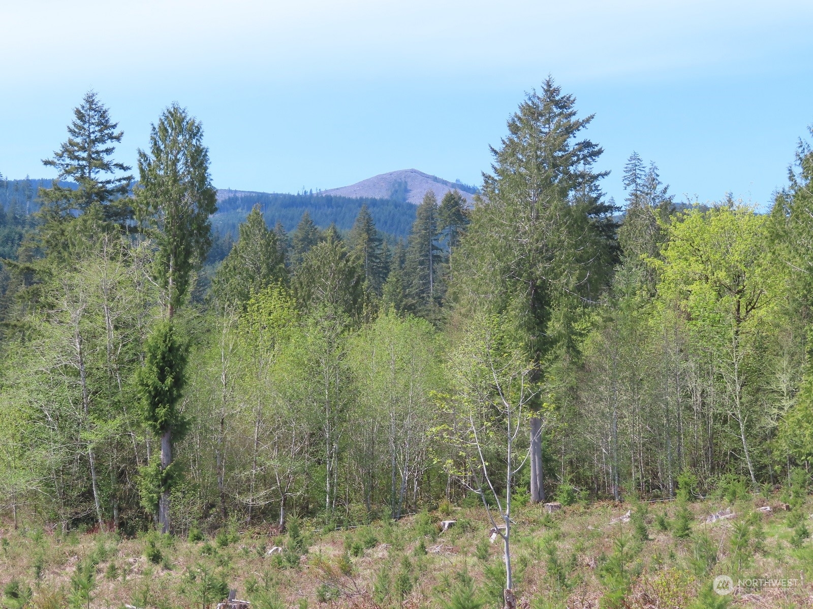 234 Herman Lewis Road Rochester, WA 98579 - Photo 29 of 29