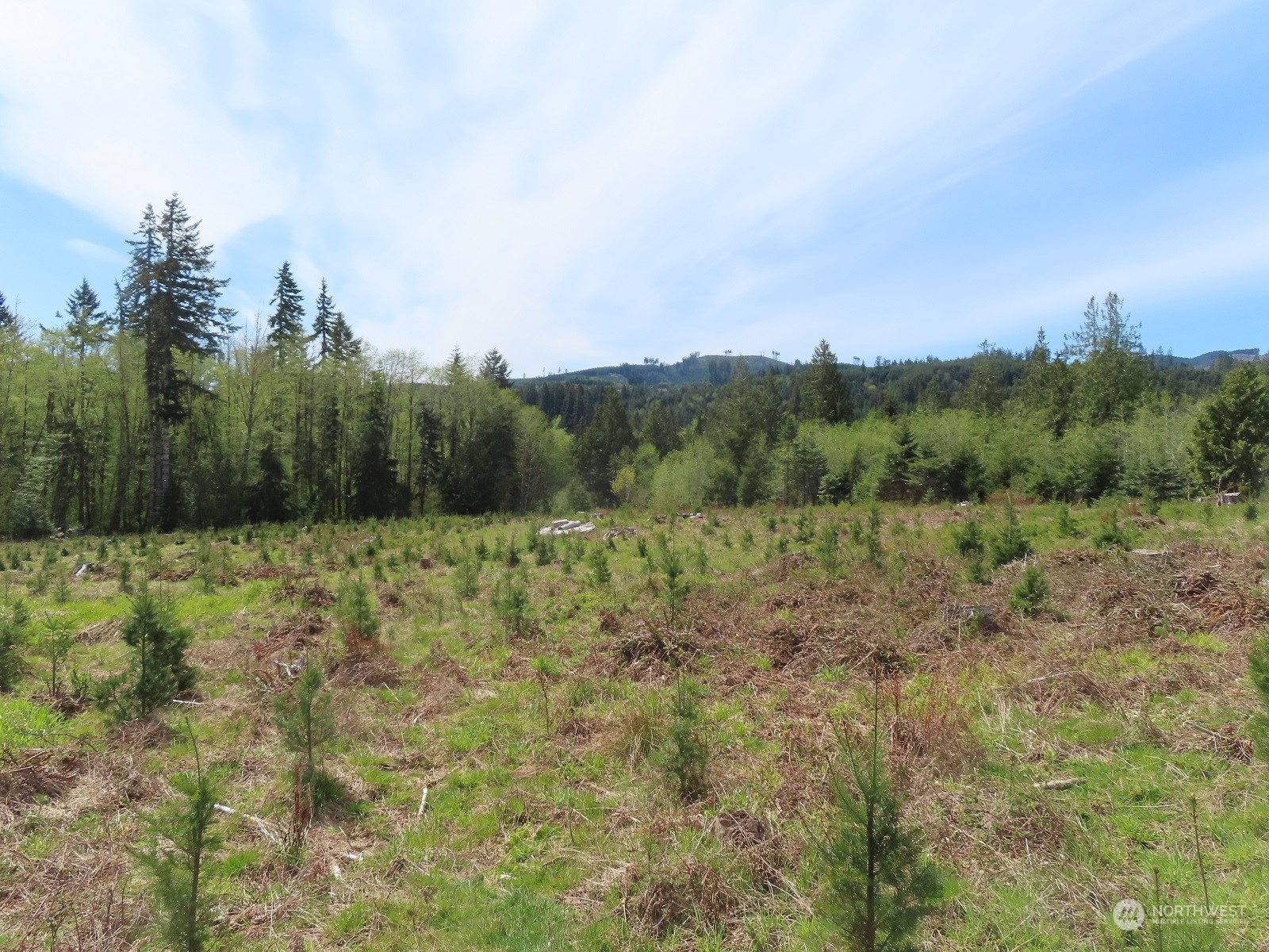 234 Herman Lewis Road Rochester, WA 98579 - Photo 5 of 29