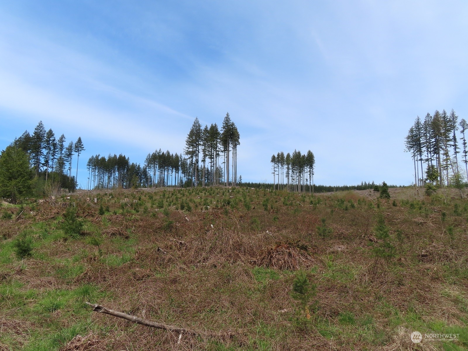 234 Herman Lewis Road Rochester, WA 98579 - Photo 7 of 29