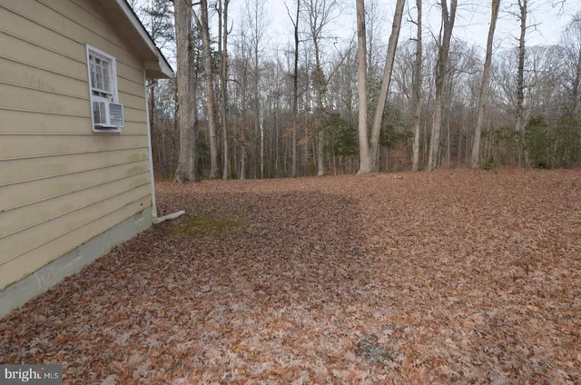 a view of backyard and trees