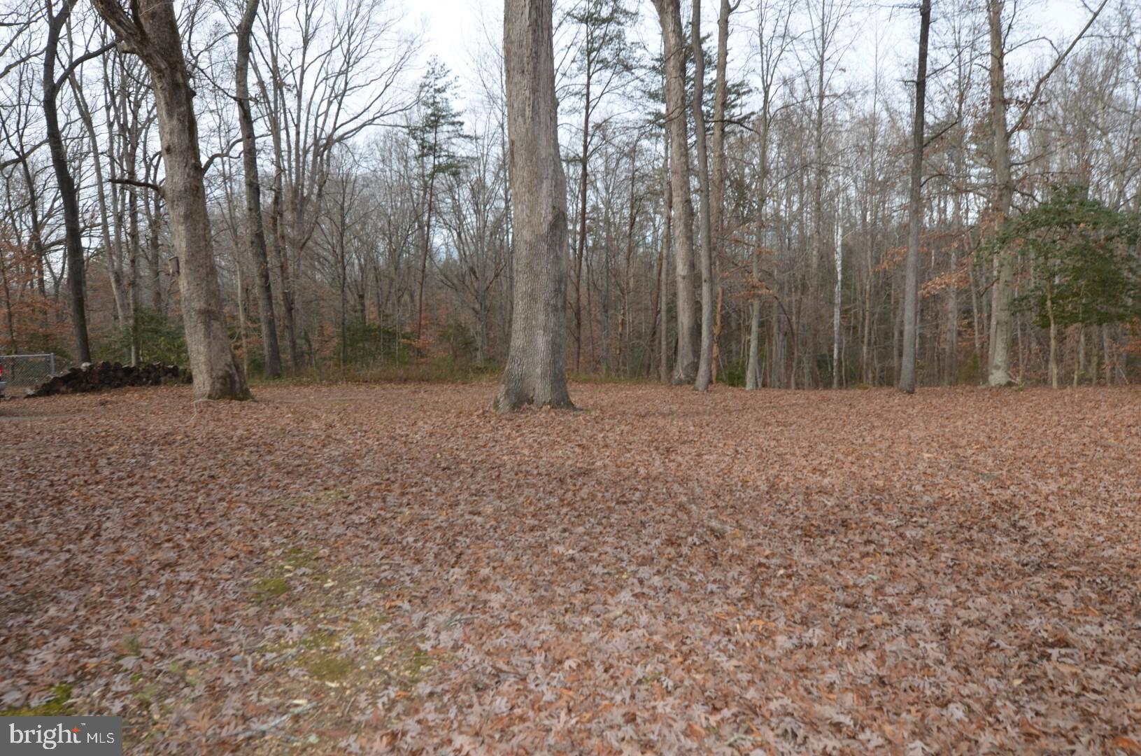 11418 Jersey Road King George, VA 22485 - Photo 9 of 23