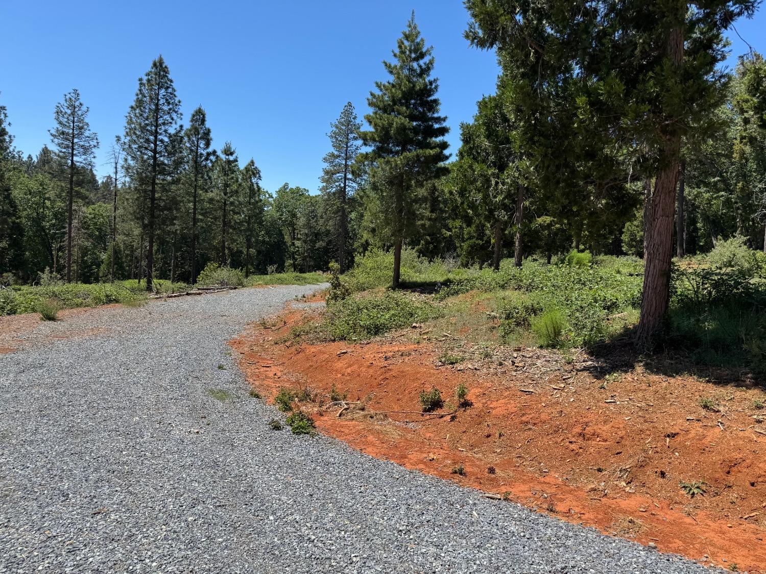 20710 Foresthill Road Foresthill, CA 95631 - Photo 10 of 12 a view of a dirt road with trees in the background