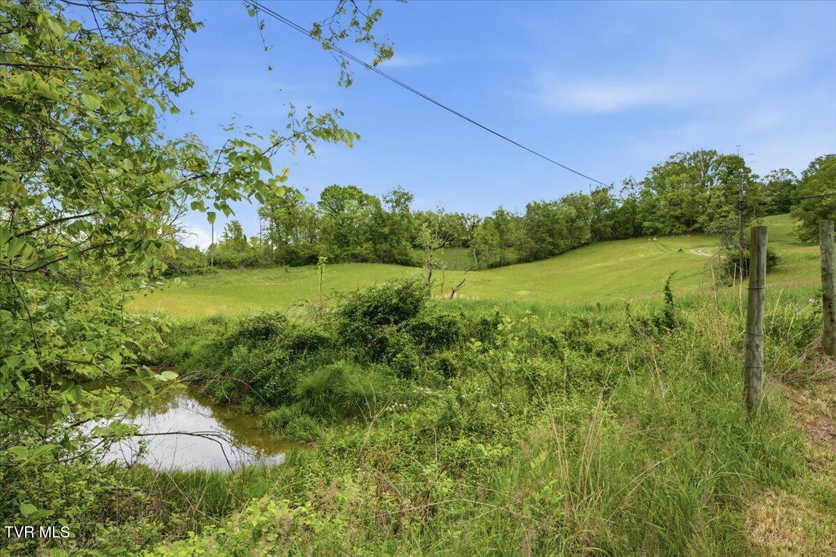 27070 Shortsville Road Meadowview, VA 24361 - Photo 4 of 26 04-HPO9055(1)