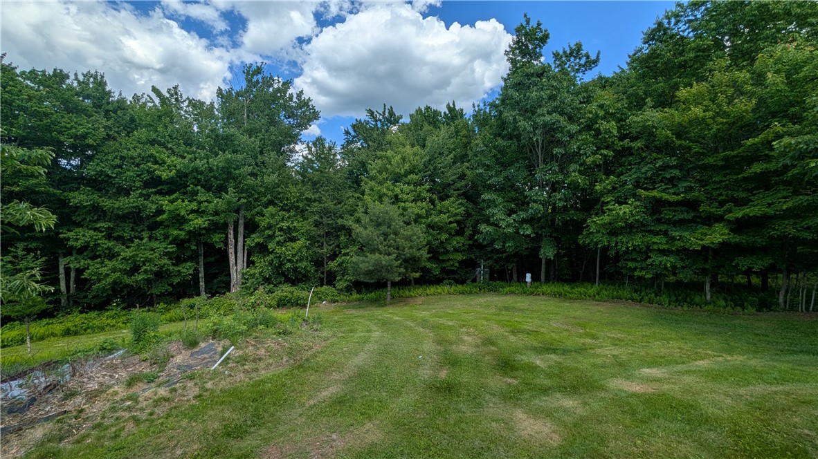 201 Sunrise Mountain Road Kortright, NY 13739 - Photo 32 of 49