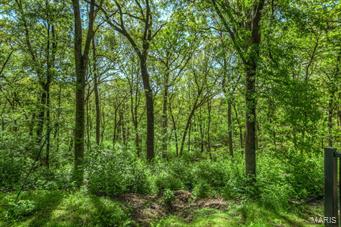 18046 Shepard Ridge Road Glencoe, MO 63038 - Photo 50 of 65