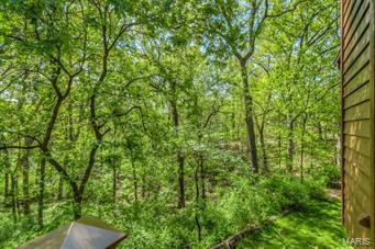 18046 Shepard Ridge Road Glencoe, MO 63038 - Photo 62 of 65
