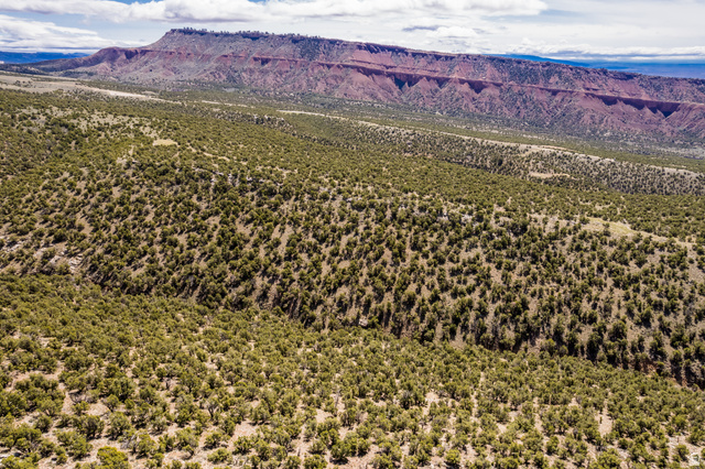2650 Taylor Mountain Road, Unit REMARK Vernal, UT 84078 - Photo 4 of 7 Expansive natural landscape featuring varied terrain and abundant native vegetation