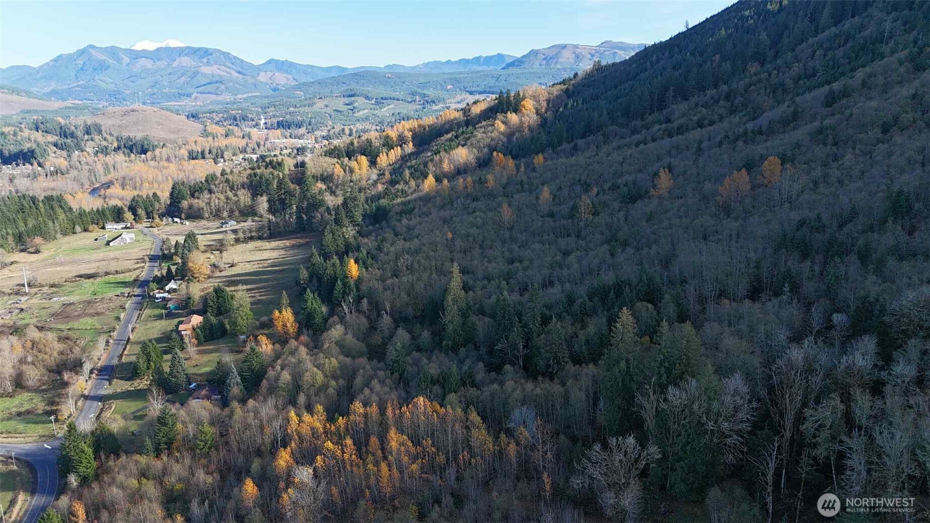 a view of a forest with mountains in the background
