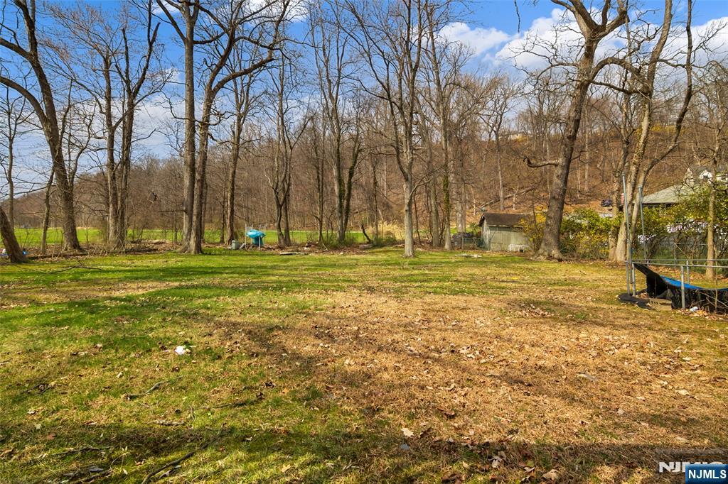 152 Pine Brook Road Lincoln Park, NJ 07035 - Photo 7 of 7 a garden view with tall trees
