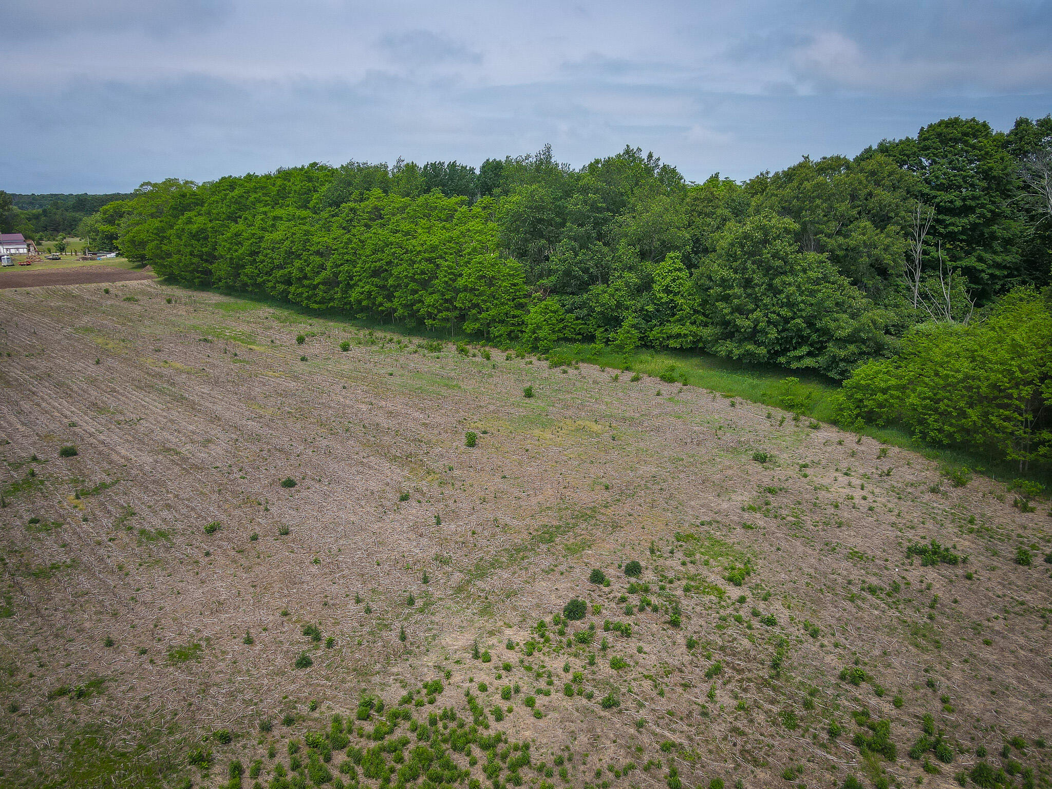 V/l West Johnson Road Shelby, MI 49455 - Photo 5 of 17 DJI_0377