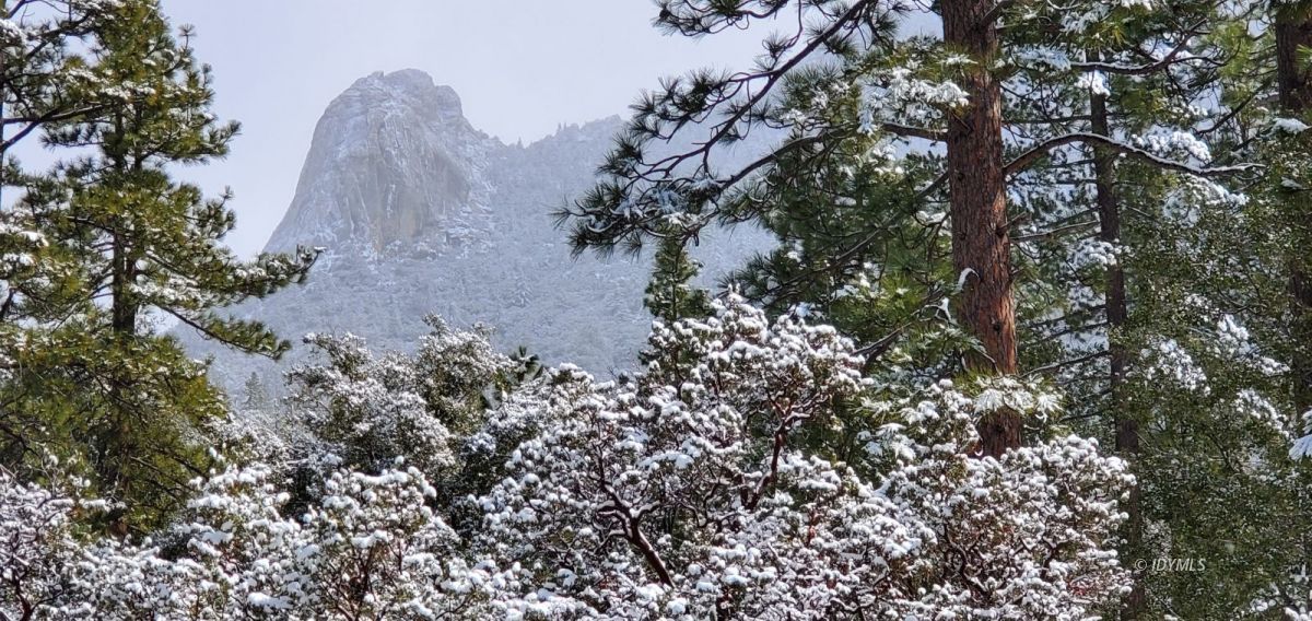 25451 Glen Road Idyllwild, CA 92549 - Photo 35 of 41 Untitled
