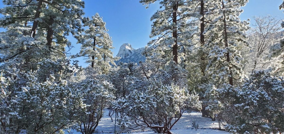 25451 Glen Road Idyllwild, CA 92549 - Photo 38 of 41 Untitled