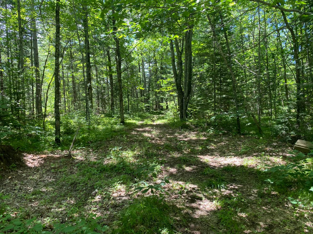 19-20 Sugar Maple Village Road Phelps, WI 54554 - Photo 11 of 19 Gallery Image 11