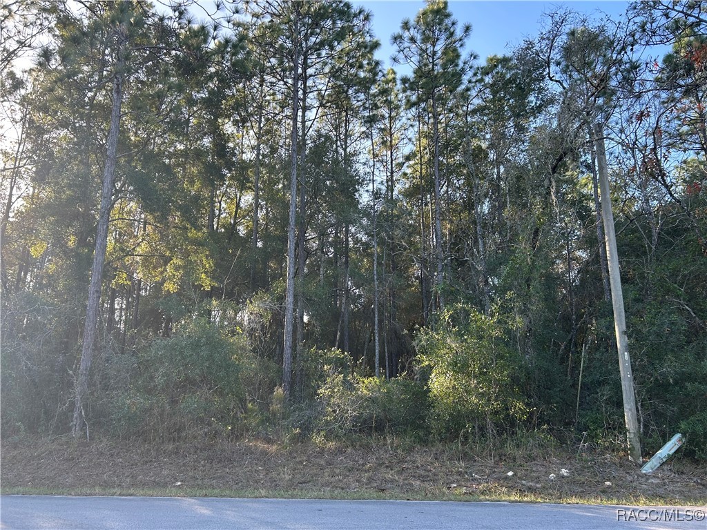 3108 East Porter Street Inverness, FL 34453 - Photo 4 of 5