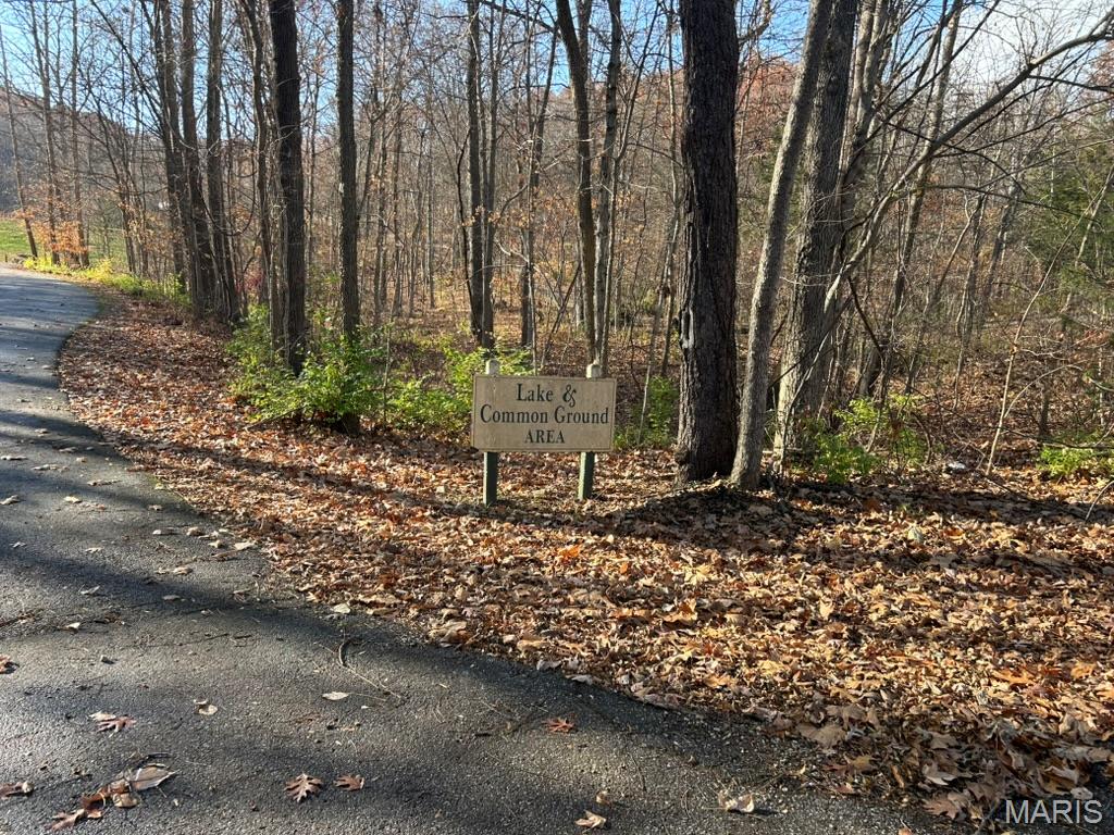 59 R The Bluffs Drive Eureka, MO 63025 - Photo 13 of 14