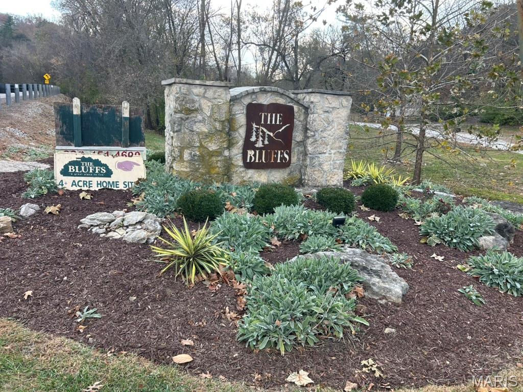 59 R The Bluffs Drive Eureka, MO 63025 - Photo 6 of 14