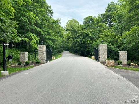 59 R The Bluffs Drive Eureka, MO 63025 - Photo 9 of 14