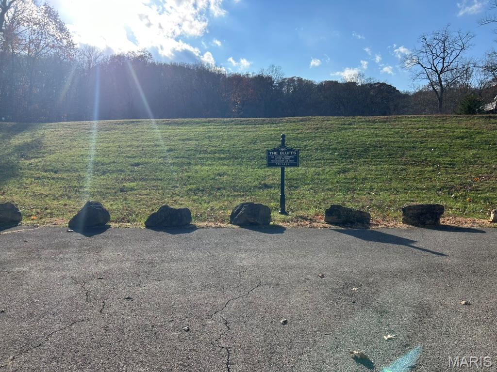 59 R The Bluffs Drive Eureka, MO 63025 - Photo 10 of 14